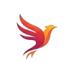 Nova Talent Management Logo
